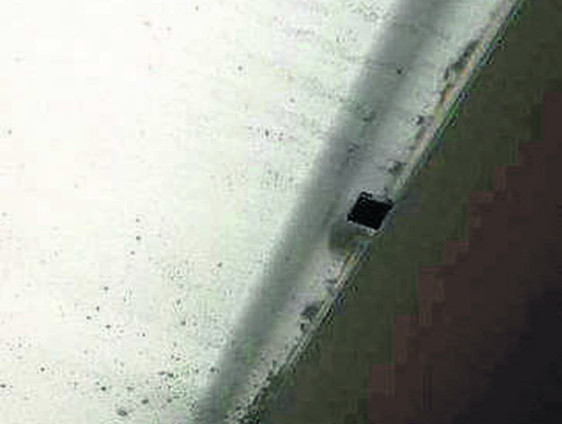 El lucernario presenta tanto problemas de falta de limpieza como  deficiencias notorias en los techos de paneles de cartón y yeso.