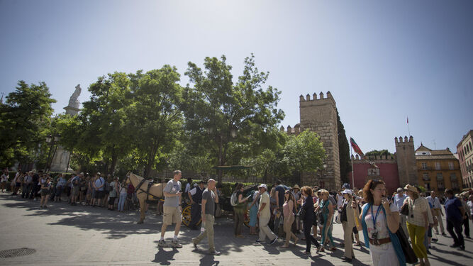 Las largas colas de turistas que se extendían por las Plaza del Triunfo para acceder al Alcázar en la mañana de ayer.