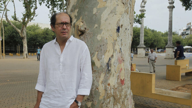 Pablo Ollero, ayer, junto a los árboles antiguos y los bancos 'nuevos' de la Alameda de Hércules.