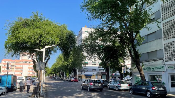 Avenida Virgen de la Milagrosa, una de las calles incluidas a reformar.