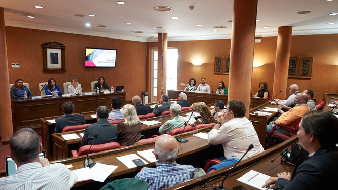 Comisión de internacionalización de la Cámara de Comercio de Málaga.
