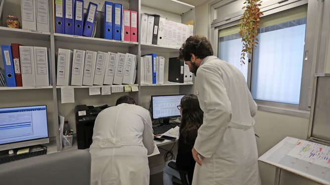 Trabajadores del Hospital de Jerez trabajando en la nueva Unidad de Ensayos Clínicos e Investigación.