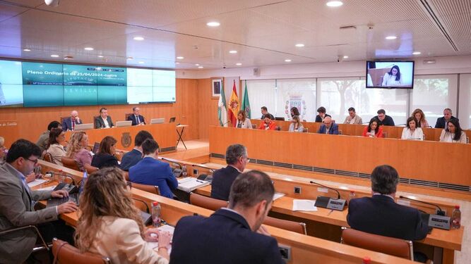 El Pleno de la Diputación  de Sevilla ha aprobado una partida de 110 millones de euros para cohesión social e igualdad