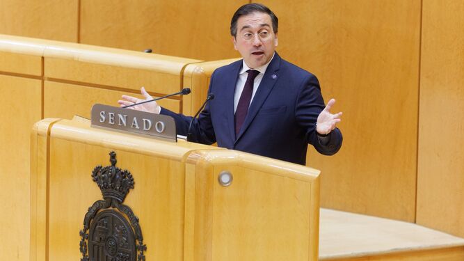 El ministro de Asuntos Exteriores, Unión Europea y Cooperación, José Manuel Albares, interviene en el Senado,