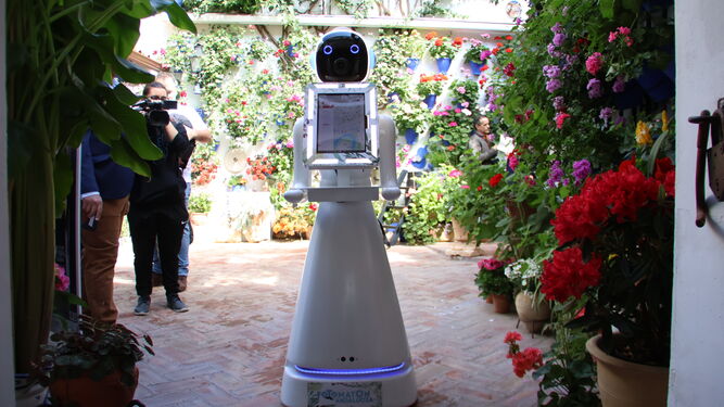 El robot que se incorporará al Festival de Los Patios.