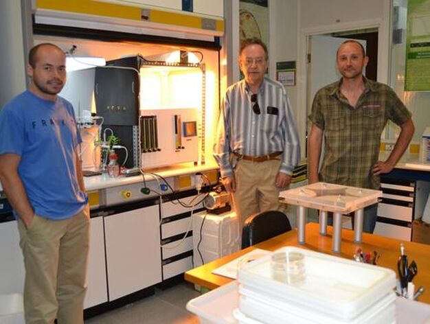 El catedr&aacute;tico de la Universidad de Almer&iacute;a Tom&aacute;s Cabello, en el centro, con investigadores de su equipo que trabajan en el control biol&oacute;gico de plagas.