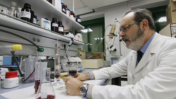 El catedrático Juan Moreno en su laboratorio.
