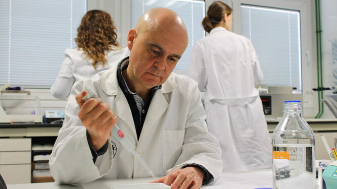 José Juan Gaforio, en uno de los laboratorios de la UJA.