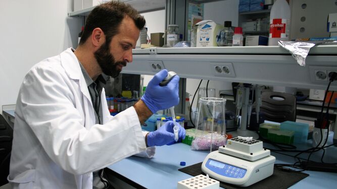 El investigador José F. Ruiz, del departamento de Bioquímica Vegetal y Biología Molecular de la Universidad de Sevilla