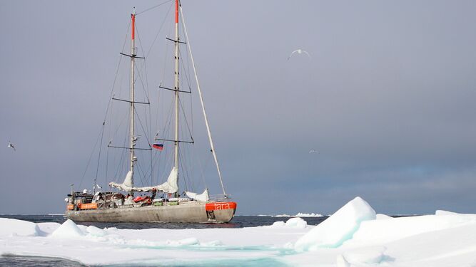 Buque de la Expedición Tara frente a un iceberg, surcando aguas del Ártico.