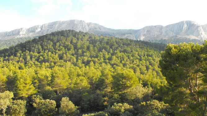 Imagen de la Sierra María (Almería) que está incluida en el estudio