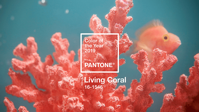 'Living Coral', el Color del Año 2019 de Pantone.