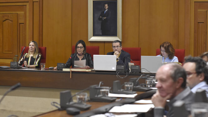Pleno ordinario de marzo del Ayuntamiento de Córdoba.