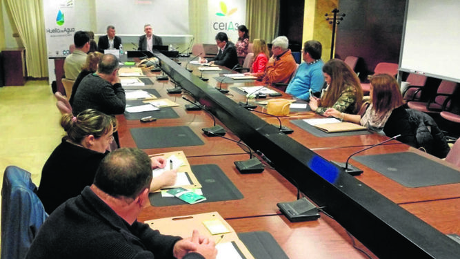 Imagen de la reunión de trabajo celebrada hace unos días en la Universidad de Almería.