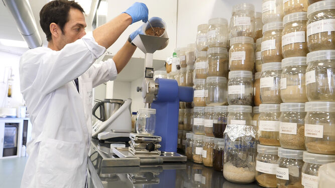 Kimitec está a punto de culminar el mayor centro de biotecnología aplicada a la agricultura de Europa.
