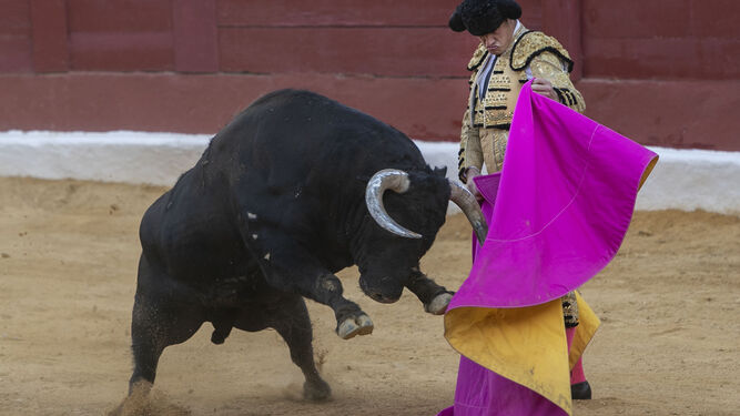 Tarde de toros en San Fernando por las fiestas del Carmen