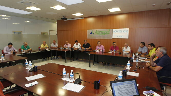 La Mesa del Agua de Almería se ha reunido esta mañana en la sede de Asempal.