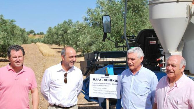 Ifapa y Heineken desarrollan el proyecto ‘Eficiencia del uso del agua en el cultivo mixto cebada-olivar y eficiencia en la siembra de cebada maltera’.