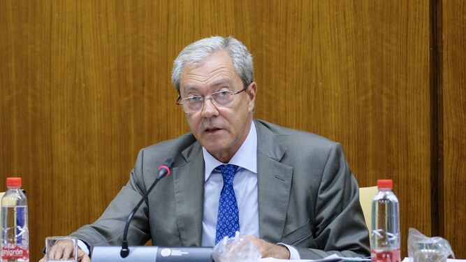 El consejero de Economía, Rogelio Velasco, durante la comparecencia en el Parlamento.