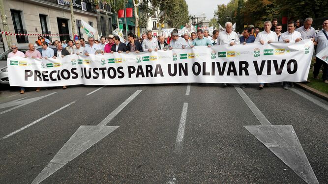 Manifestación conjunta en Madrid para protestar por los bajos precios del aceite de oliva.