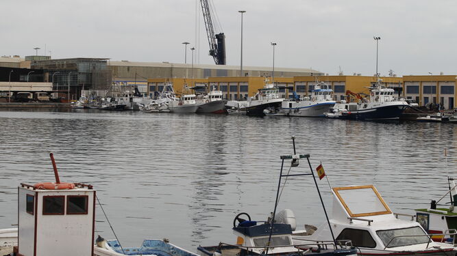 Parada biológica de la flota de arrastre en Almería
