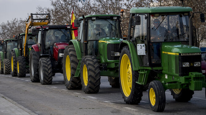 Tractores que participaron hace unos días en la marcha de protesta en Granada capital