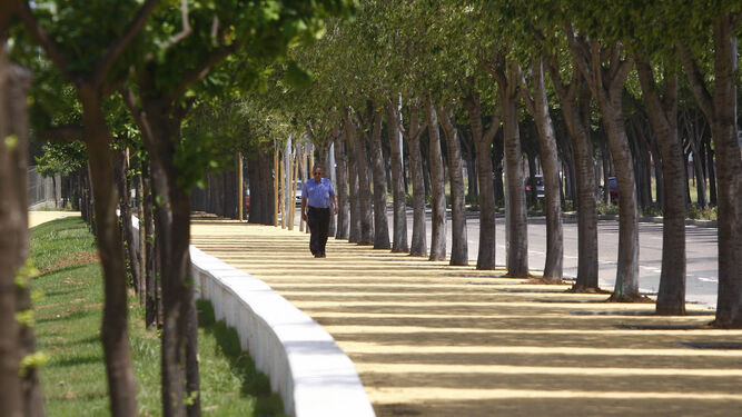 Un hombre pasea por el parque de San Jerónimo.