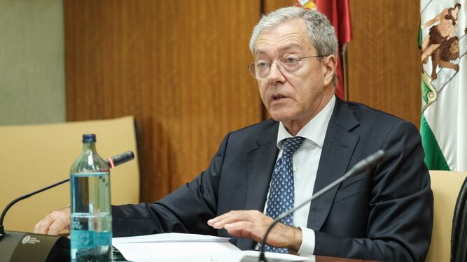 El consejero de Economía, Rogelio Velasco, durante la comparecencia en el Parlamento.