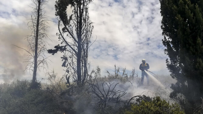 Declarado un incendio en el entorno de Kinépolis Granada, en la urbanización La Joya