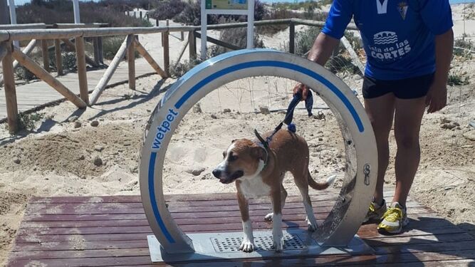 Ducha canina instalada en la playa de Camposoto.