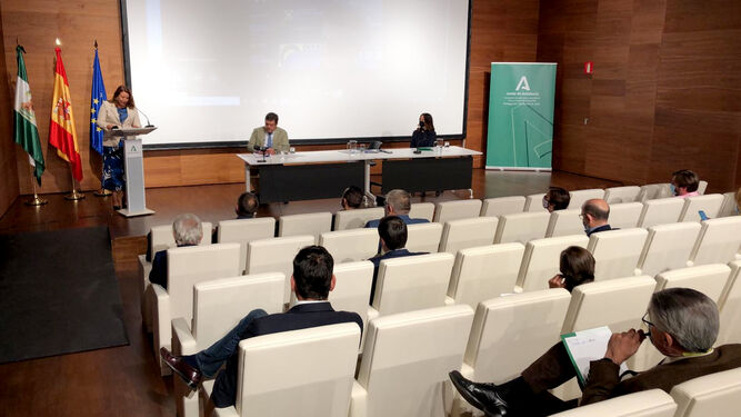 Comparecencia de la consejera de Agricultura, Carmen Crespo, en Jaén, donde presentó el primer aforo de producción del olivar de la campaña 2020-2021.