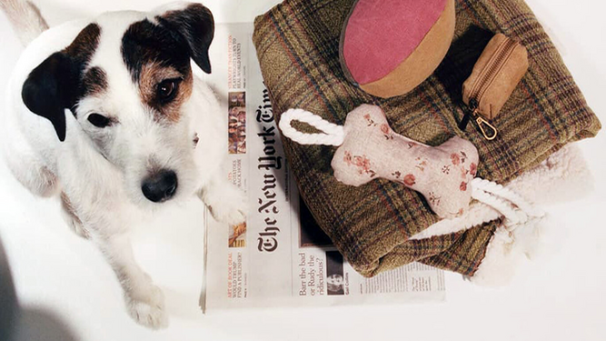 La colección de Zara Home para mascotas tiene mantitas, juguetes y hasta camitas para perros.