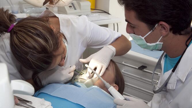 Recientes descubrimientos arrojan que es posible la regeneración de dientes perdidos