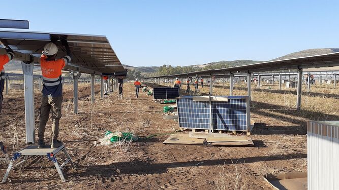 Operarios en plena instalación de una planta fotovoltaica