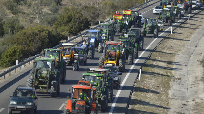 Movilizaciones de los agricultores por las carreteras andaluzas.
