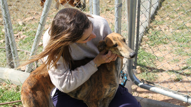 Llaman a la adopción de perros abandonados al estar el Centro Provincial de Animales de Huelva al límite