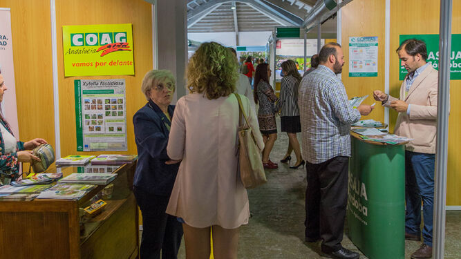 Ambiente en la zona de stands de la última edición de la Feria del Olivo de Montoro.