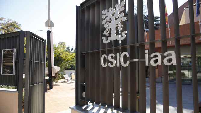 Entrada del IAA, centro del CSIC Severo Ochoa.