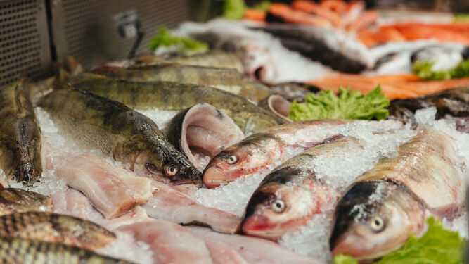 Las consecuencias en la salud humana de consumir pescado contaminado con histamina