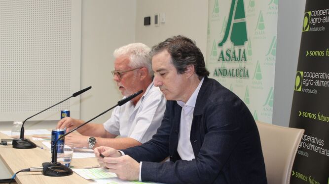 Responsables de Asaja y Cooperativas Agroalimentarias de Andalucía, en rueda de prensa