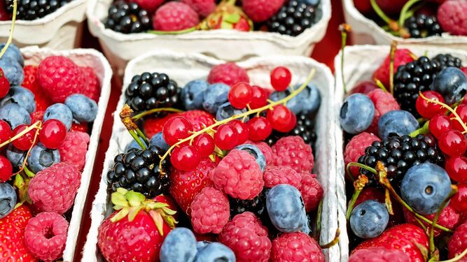 Huelva se consolida como la capital de los "berries" en Europa