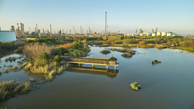 El parque energético de Cepsa en La Rábida forma parte del proyecto.
