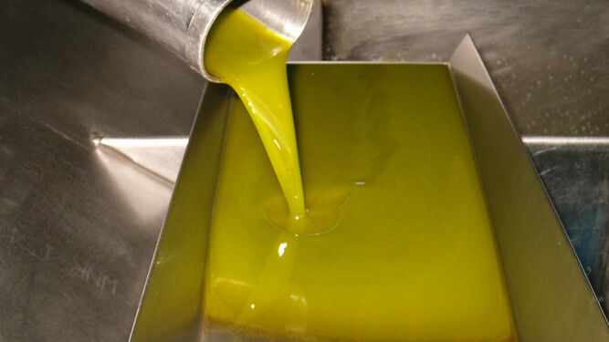 Almazara de aceite de oliva