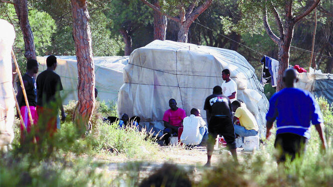 Patronal y sindicatos agrarios de Huelva proponen la regularización de más de 2.500 personas migrantes