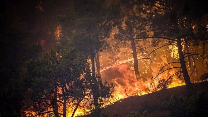 Incendio en Rodas (Grecia)