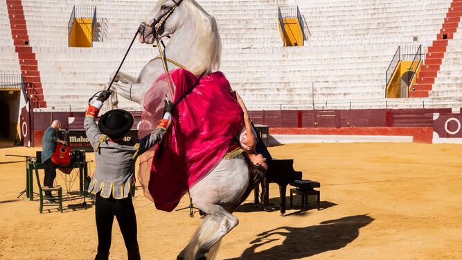 El caballo se pone en pie mientras la amazona se lanza hacia atrás, en un número de 'Passion Andaluza'.