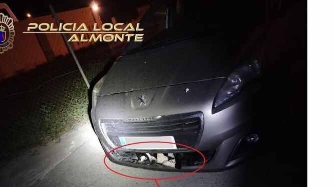 El perro atrapado en el paragolpe del coche tras ser atropellado.