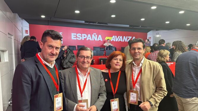 Algunos de los miembros del PSOE de Granada presentes en el Comité Federal de este sábado.
