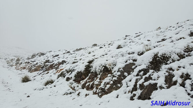 La nieve ha hecho acto de aparición en la Sierra de Gádor esta mañana.